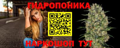 винт Будённовск